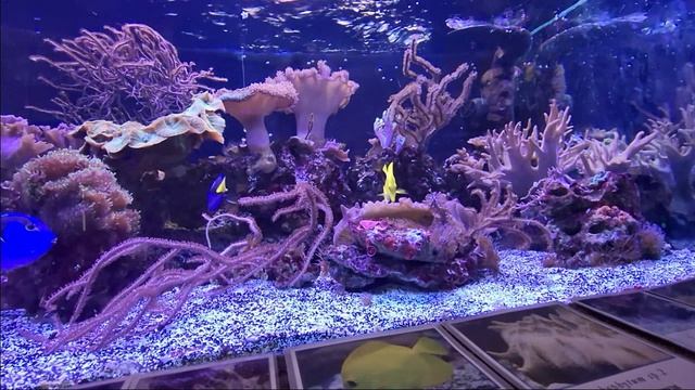 Зоопарк. Санкт-Петербург.