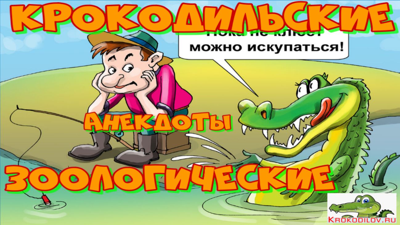 Крокодильские  Зоологические анекдоты .