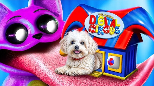 Мы построили секретный домик! Помни Vs КетНеп! Poppy Playtime Chapter 3!