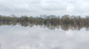 Разлив на Оке в апреле  ( 2026 г)