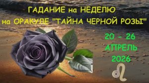ЛЕВ: ГАДАНИЕ на НЕДЕЛЮ с 20 по 26 АПРЕЛЯ 2026 года на Оракуле "ТАЙНА ЧЕРНОЙ РОЗЫ"!!!