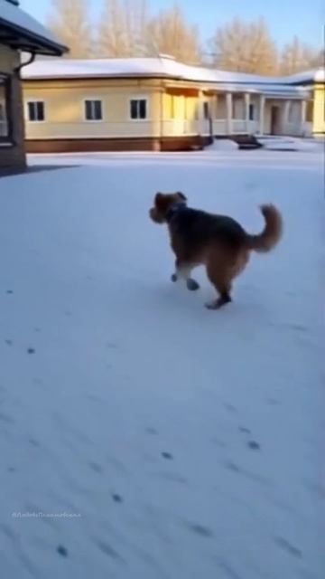 Поздним вечером вчерашним