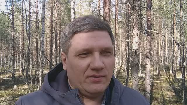 Воспринимай легко