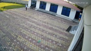 Индиец хотел прогнать макаку с помощью длинного прута, в итоге поджарился.