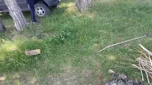 Остров на р. Иртыш