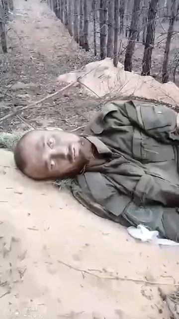 Мы не умрём