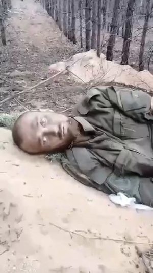 Мы не умрём