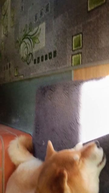 АМ АМ АМ АМ АМ