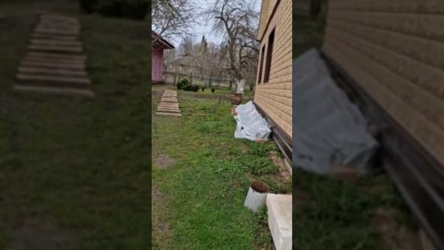 Всем доброе утро и хорошего дня