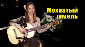 Мохнатый шмель (А цыган идёт) | На гитаре