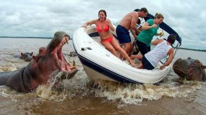 Невероятные моменты на сафари. Лучшая подборка