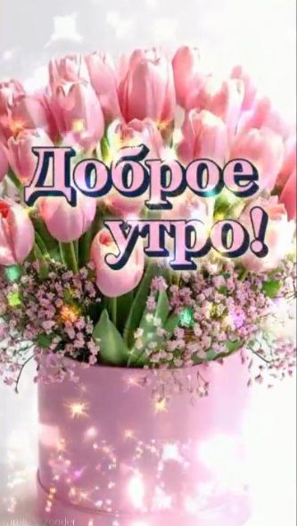 Доброе утро!) Лёгкого дня!) #доброеутро