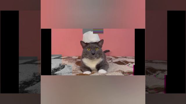 бумажкин не злодей