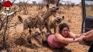 Невероятные моменты на сафари.