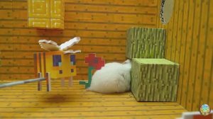 Хомячок сбегает из лавового лабиринта на американских горках! часть 9