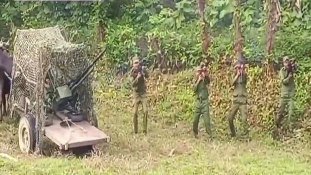 Кубинцы используют на учениях 23-мм автоматическую зенитку, которую тащат два вола