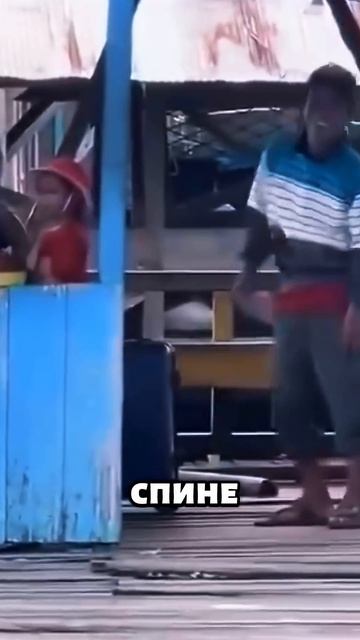 Если увидишь это в Индонезии — ни в коем случае не помогай! 🐊😯 → 👤 #Дикий_Инстинкт