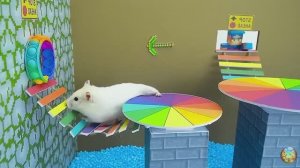 Хомячок убегает от крокодила и кальмара в мраморном лабиринте! часть 5