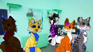 коллаб с квшниками ( идея моя)