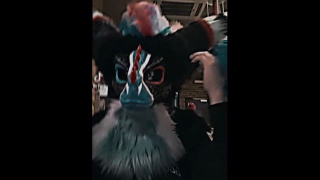 Copy_3890272D-373F-410A-95AC-A8862D0832CB