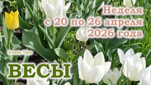 ВЕСЫ | ТАРО прогноз на неделю с 20 по 26 апреля 2026 года