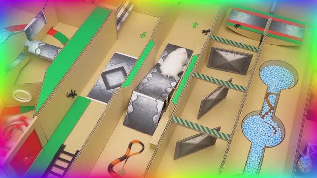 ⚡ Самые быстрые хомяки в истории, Сборник безумных испытаний в лабиринте! серия 4