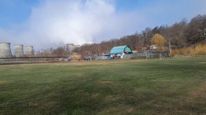 Я в тихом ШОКЕ от встречи с односельчанкой😲
Зацветает форзиция