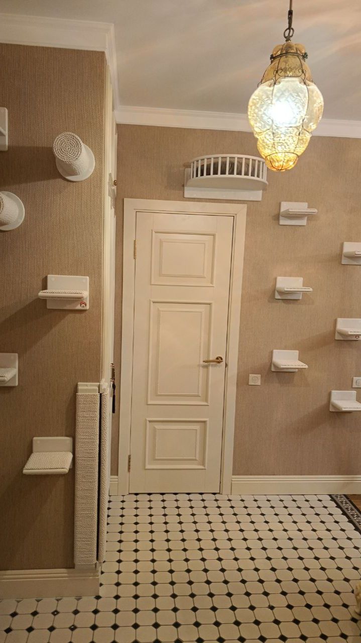 Этот комплекс был создан  для очень милой кошечки😍