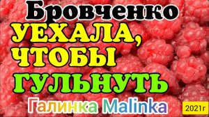 Семья Бровченко _Уехала чтобы гульнуть_Жизнь - Боль_Обзор Влогов _