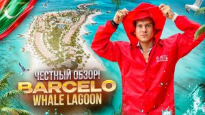 МАЛЬДИВЫ. Обзор отеля Отель BARCELO WHALE LAGOON MALDIVES. Все оттенки бирюзовой палитры!