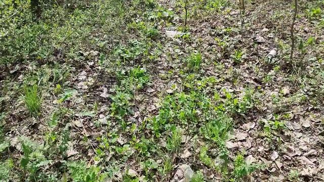 Наведем порядок на нашем пляже Марченко