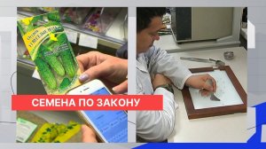 Эксперты рассказали, как проверить качество семян и саженцев при покупке и перед посадкой в грунт