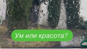 Мужчины готовы ради неё на всё. #ежедневныйвлог #разговорыобовсем #разговорподушам