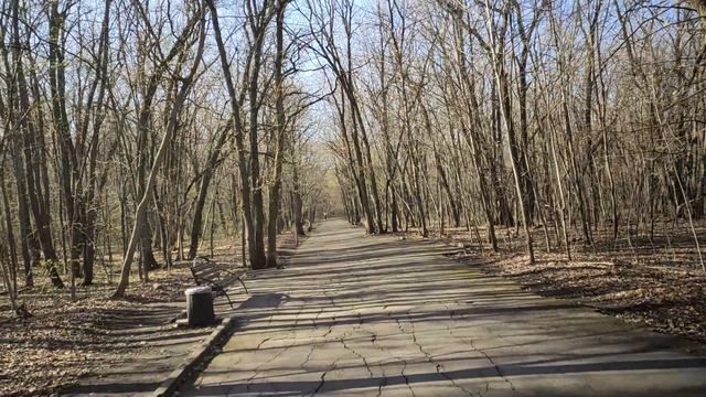 Влог  16.04.2026  Настолки прогулка