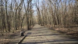 Влог / 16.04.2026 / Настолки, прогулка