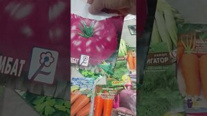 Сезон огород начинается