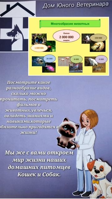 ШКОЛА ЮНЫХ ВЕТЕРИНАРОВ 
Познание-1
