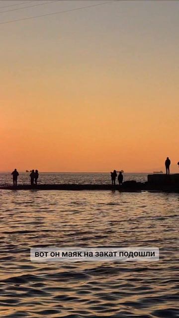 Морские котики во Владивостоке #dvacapitanavl #морскиепрогулкивладивосток