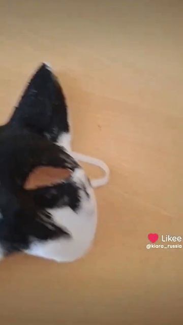 Миа Бойка ты всегда такая правильная или только на сцене?