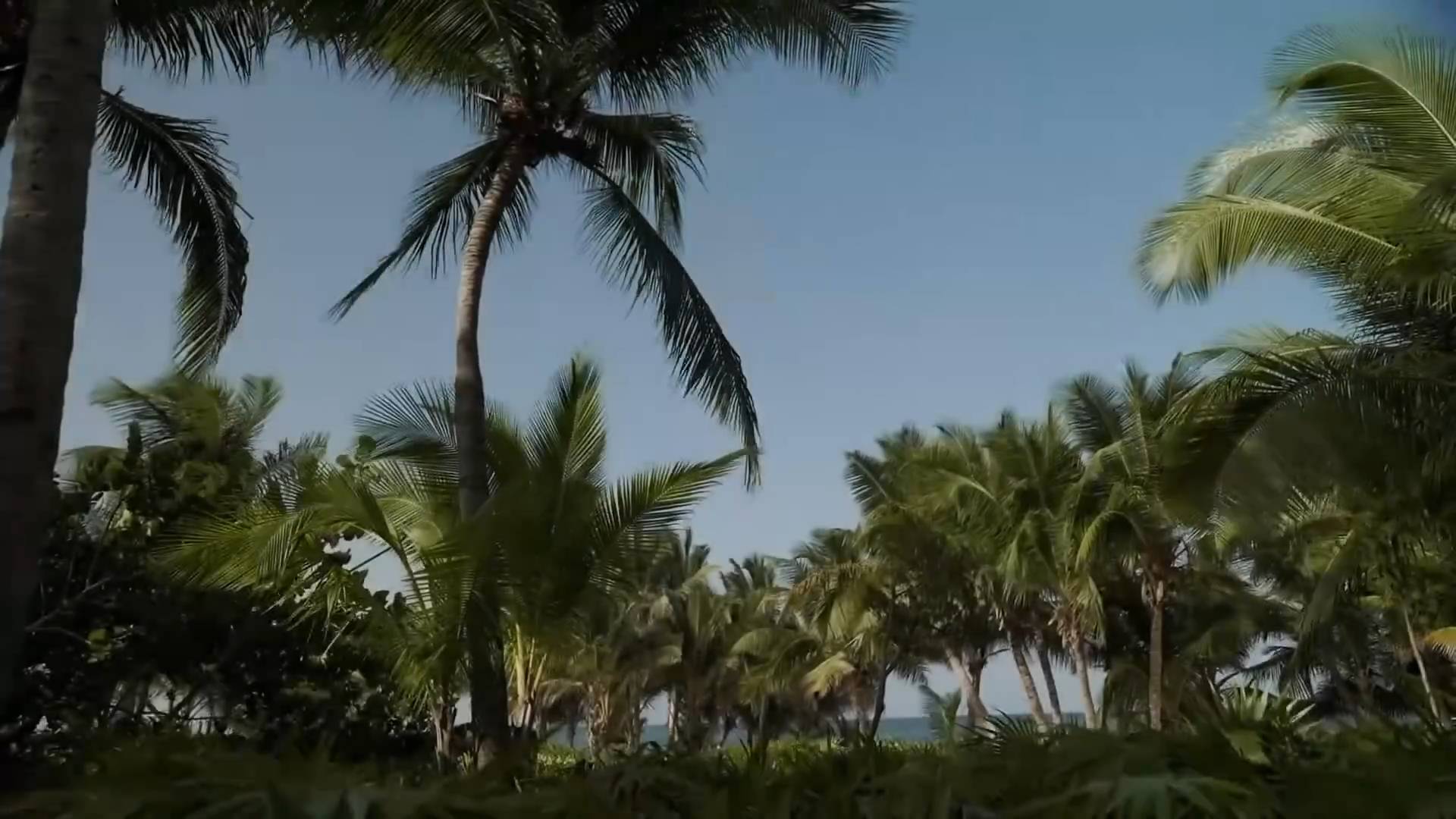 Miraculous Deep Mix ｜ Deep House, Vocal House, Nu Disco, Chillout ｜ Soundeo Mixtape-(1080p30)