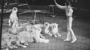 К/ж «Сибирь на экране» (№ 10, 1972 г.), фрагмент.