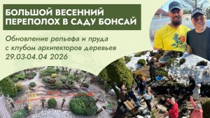 Большой весенний переполох в саду бонсай