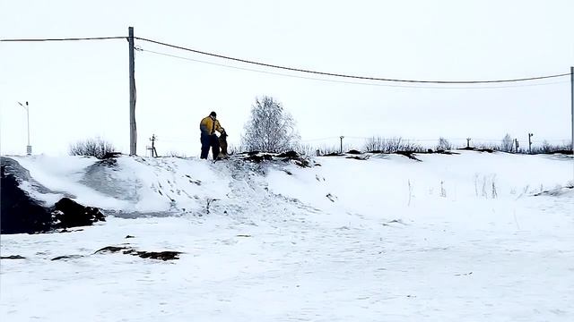 Дрессировка собак в Омске - ОЦССС.