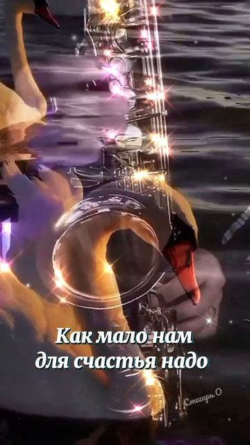 Доброй ночи