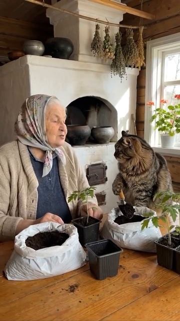 Клип @meowtaverse