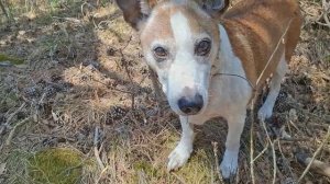 В весеннем Урочище.