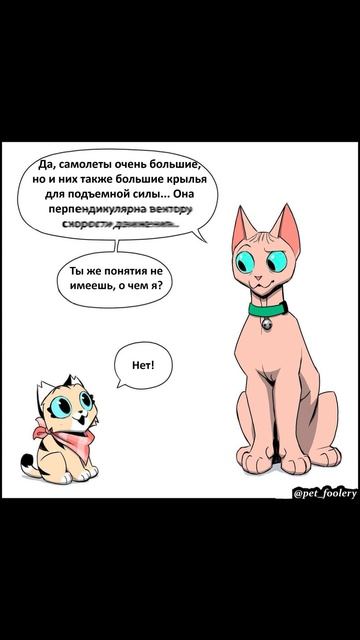Почему самолёты летают?) Пикси и Брут