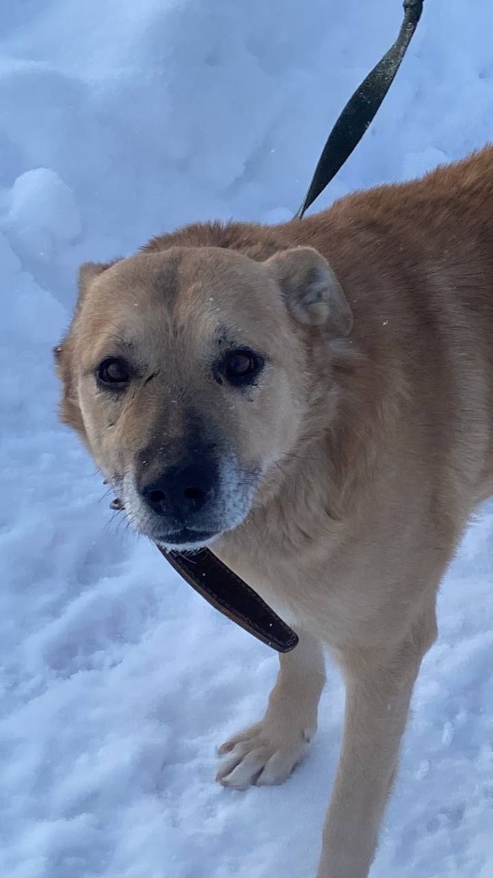 По нашему новичку так никто и не откликнулся 😞