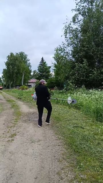 Шоу начинается