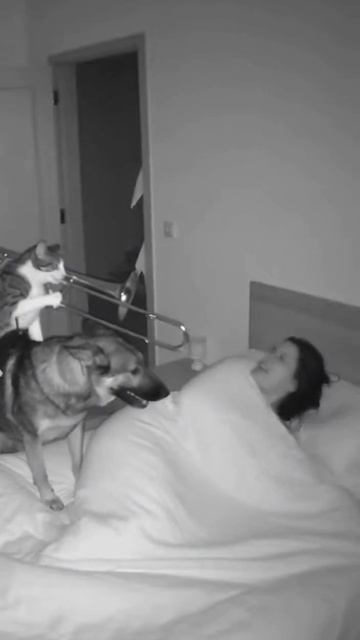 Проснись и пой!